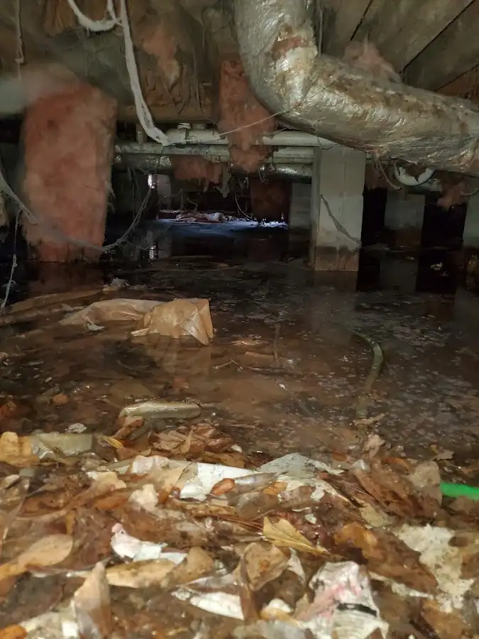 Crawl space flood assessment for Leak Detection & Repair in Midlothian