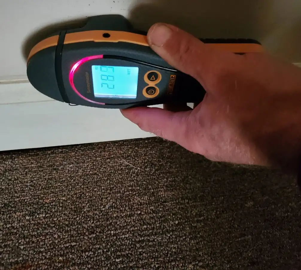 Moisture detection at baseboard during Mold Inspection & Testing in Midlothian